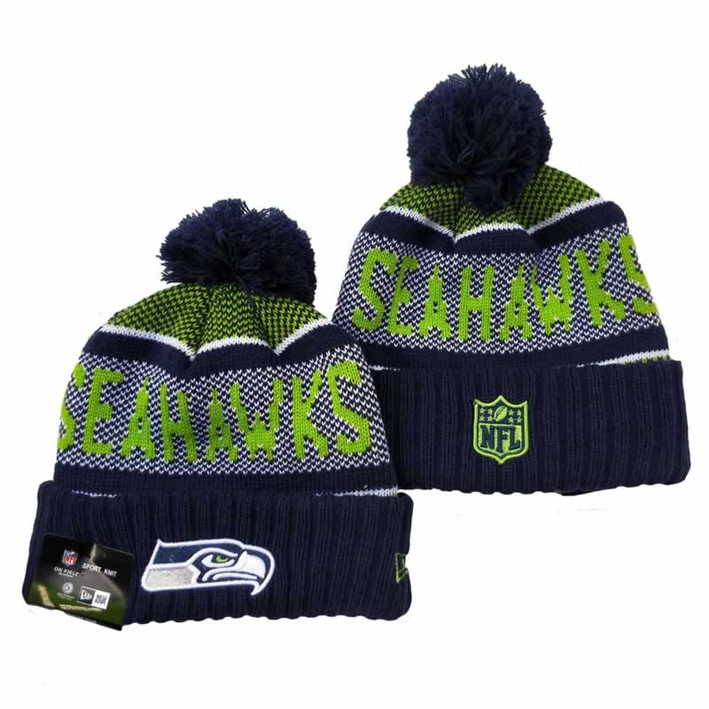 Seattle Seahawks Team Logo Knit Hat YD (8),We sell and wholesale Seattle Seahawks Team Logo Knit Hat YD (8) on line form chian!